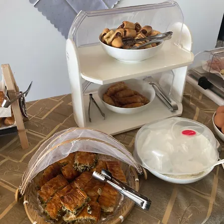 Sariza Spring Hotel 3*