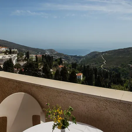 호텔 Sariza Spring Apikia (Andros)