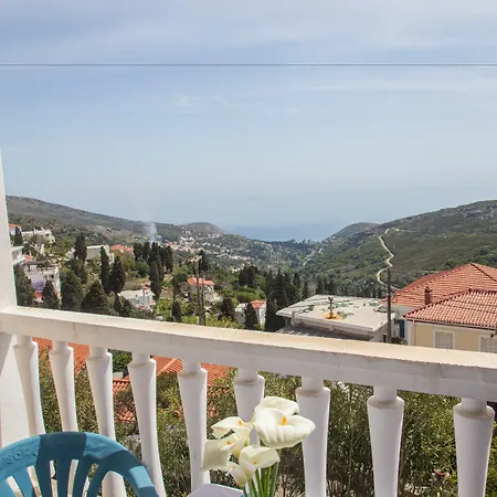 Sariza Spring Apikia (Andros)