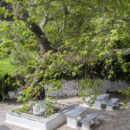 Sariza Spring Hotel 3*