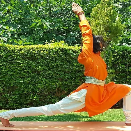 Hotel Sariza Spring Apikia (Andros)