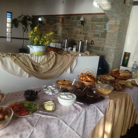 Sariza Spring Apikia (Andros)