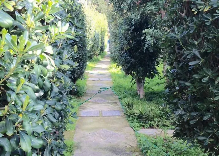 Sariza Spring فندق