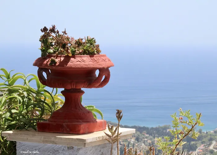 فندق Sariza Spring Apikia (Andros)