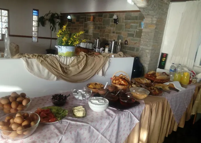 Sariza Spring Apikia (Andros)