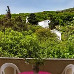 Sariza Spring Apikia (Andros)