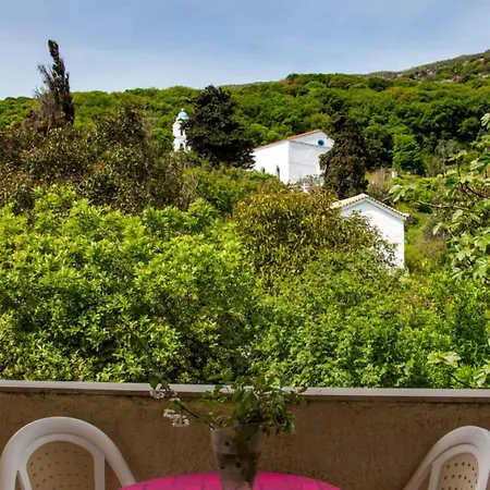 Sariza Spring Apikia (Andros)