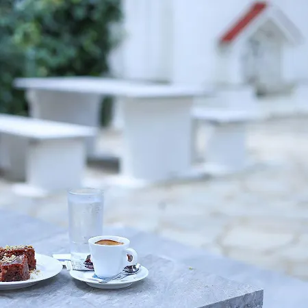 Sariza Spring Apikia (Andros)