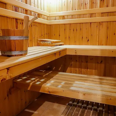 Sariza Spring Apikia (Andros)