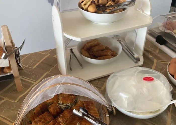 Sariza Spring Hotel 3*