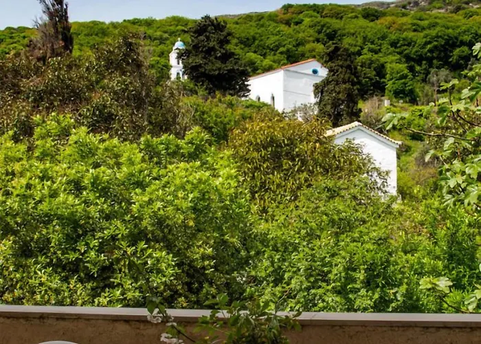 Sariza Spring Apikia (Andros)