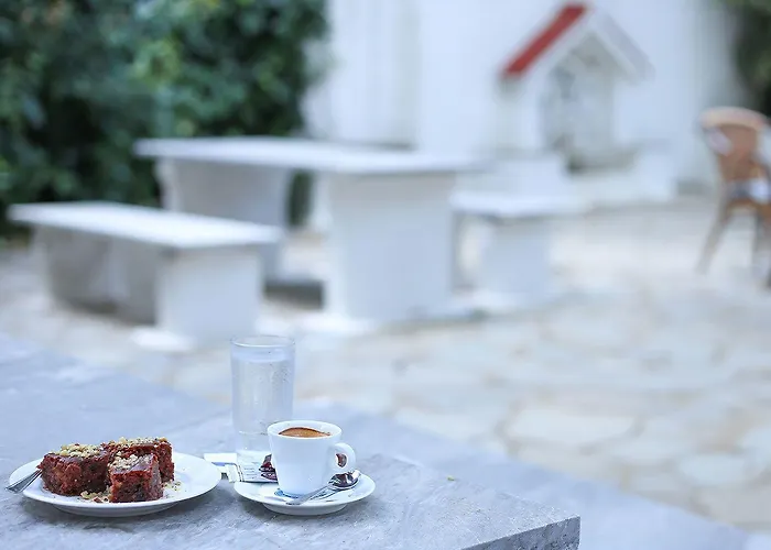 Sariza Spring Apikia (Andros)